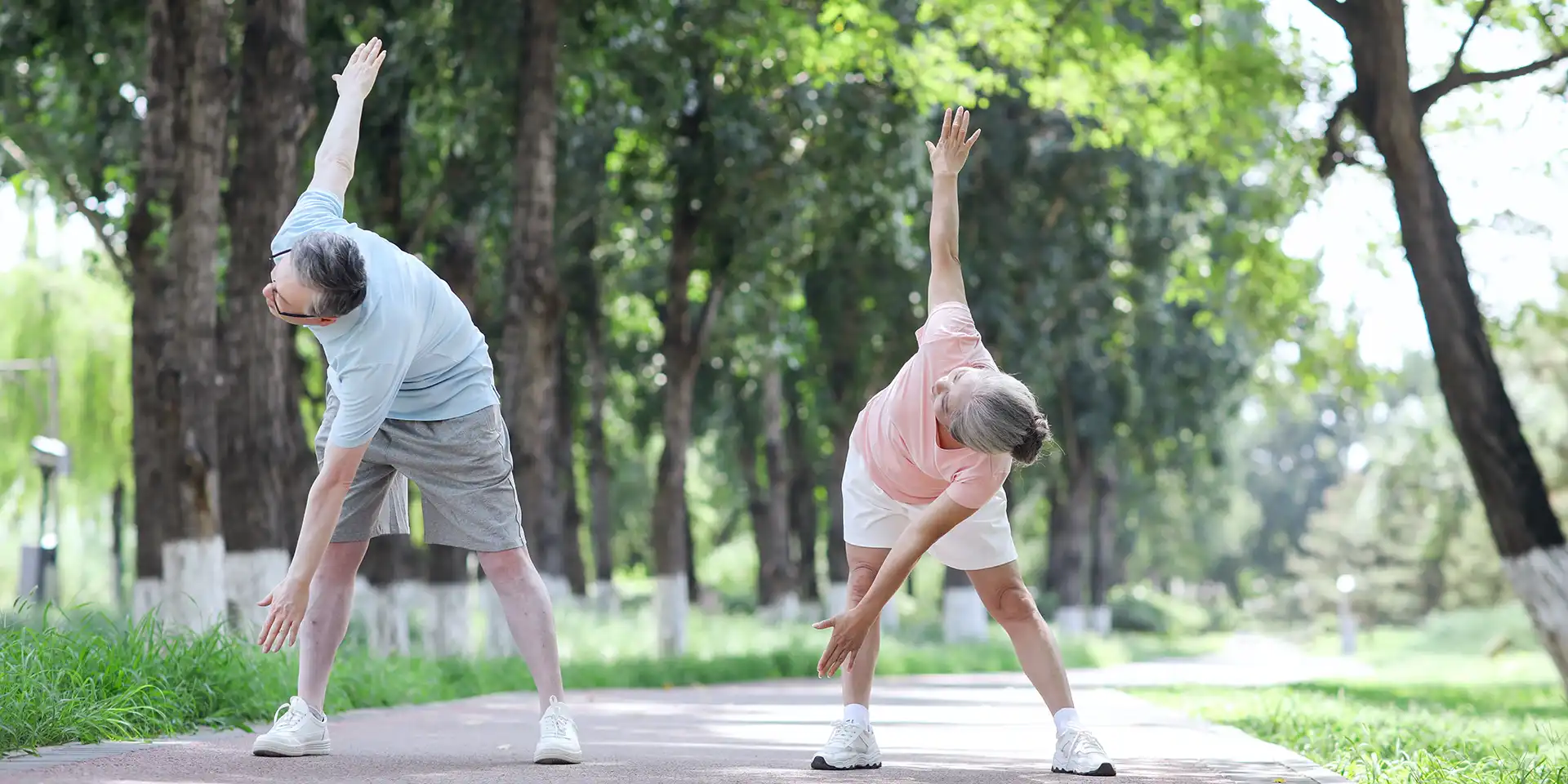 pusat aktif usia lanjut