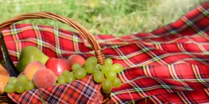 Let's Have Fun Outdoor