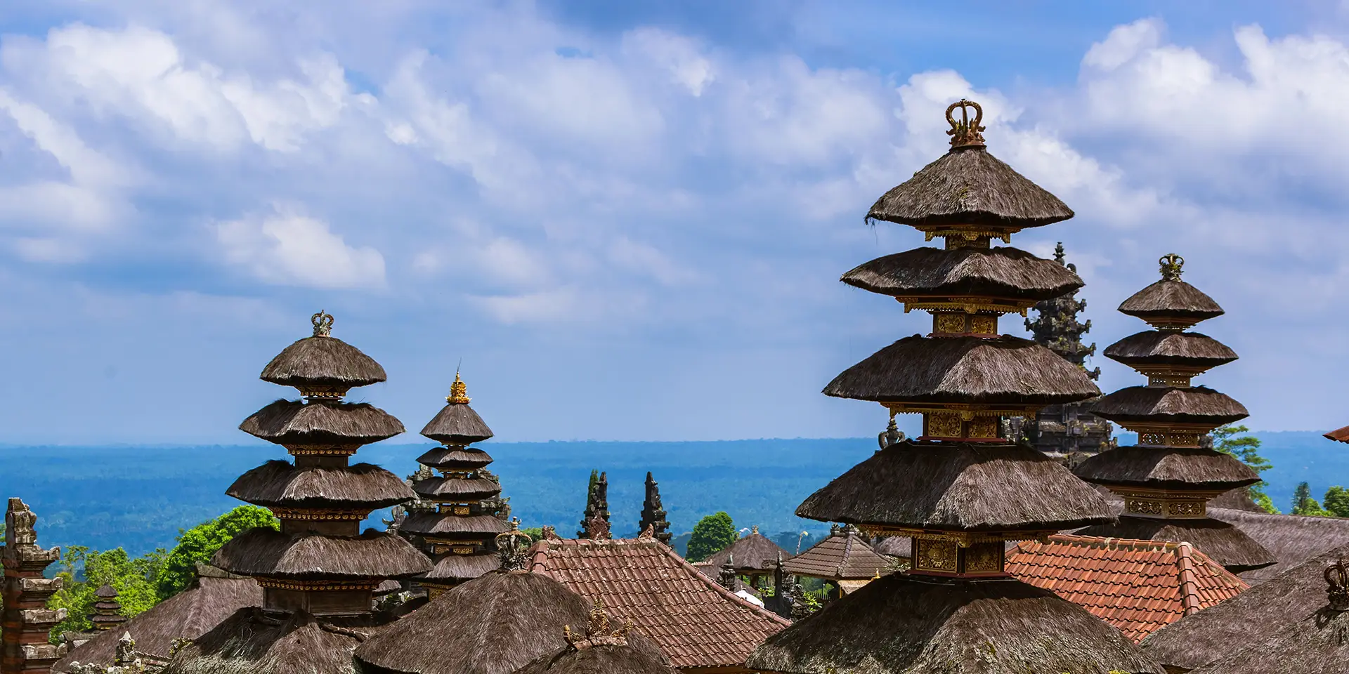 wheelchair-accessible tours